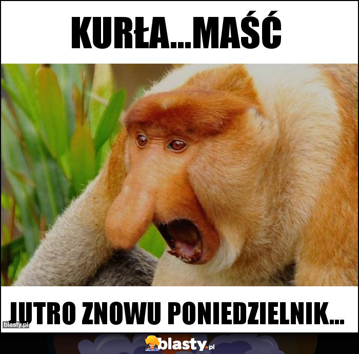 Kurła...maść Kurła...maść