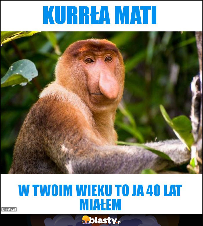 Kurrła Mati Kurrła Mati