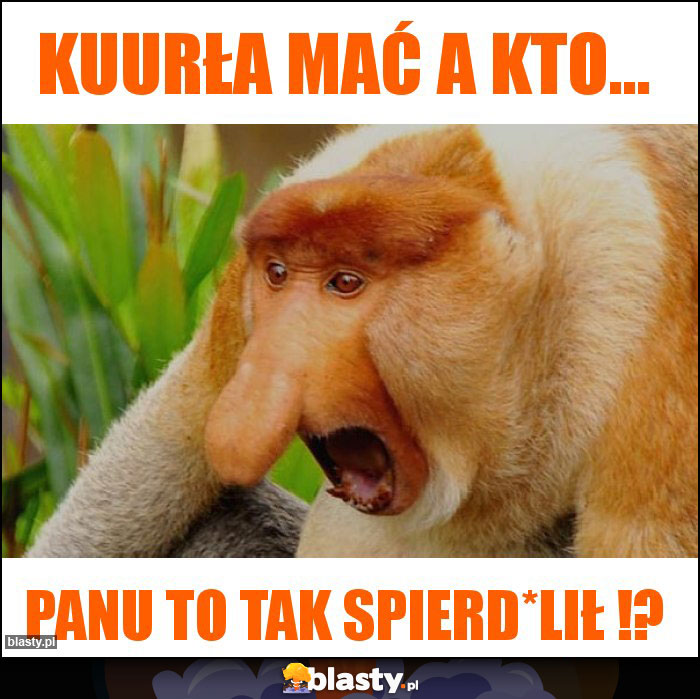 Kuurła mać a kto... Kuurła mać a kto...