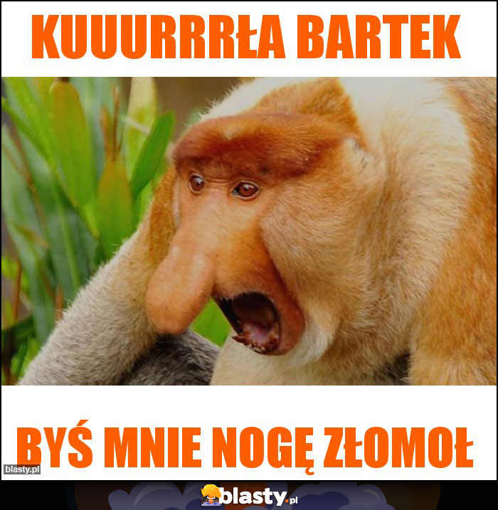 Kuuurrrła Bartek Kuuurrrła Bartek