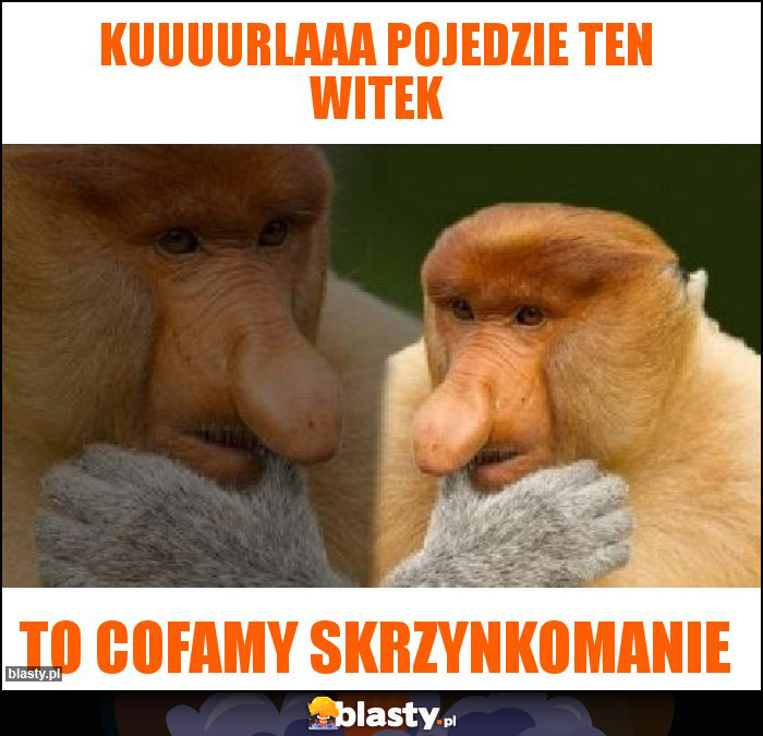 Kuuuurlaaa pojedzie Ten Witek Kuuuurlaaa pojedzie Ten Witek