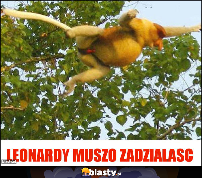 LEONARDY MUSZO ZADZIALASC LEONARDY MUSZO ZADZIALASC