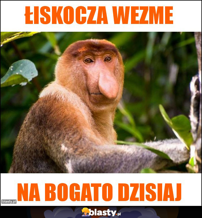 Łiskocza wezme Łiskocza wezme