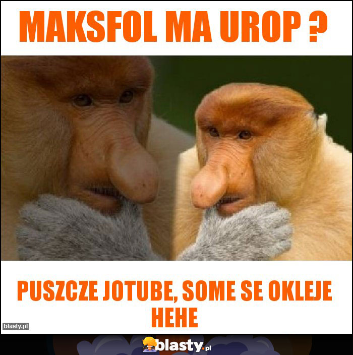 Maksfol ma urop ? Maksfol ma urop ?