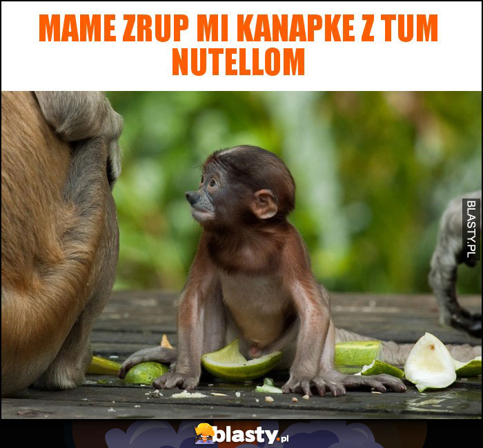 mame zrup mi kanapke z tum nutellom