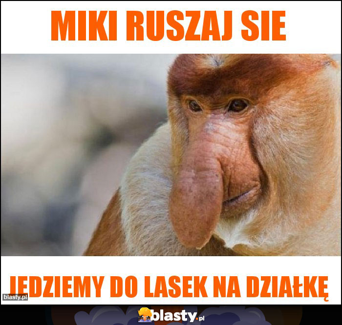 Miki ruszaj sie Miki ruszaj sie
