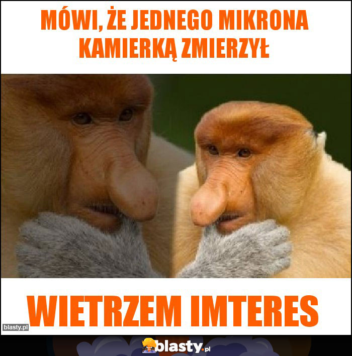 Mówi, że jednego mikrona kamierką zmierzył Mówi, że jednego mikrona kamierką zmierzył