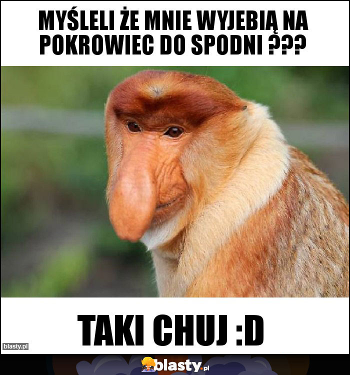 myśleli że mnie wyjebią na pokrowiec do spodni ??? myśleli że mnie wyjebią na pokrowiec do spodni ???