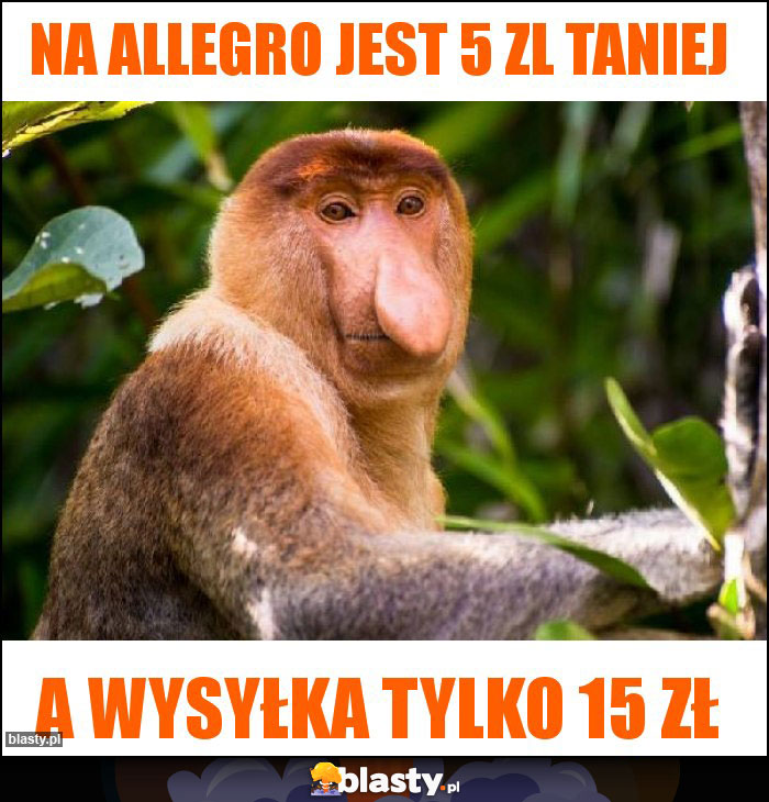 Na allegro jest 5 zl taniej Na allegro jest 5 zl taniej