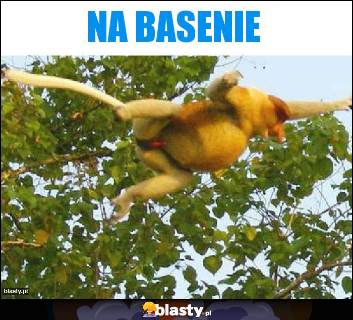 Na basenie Na basenie