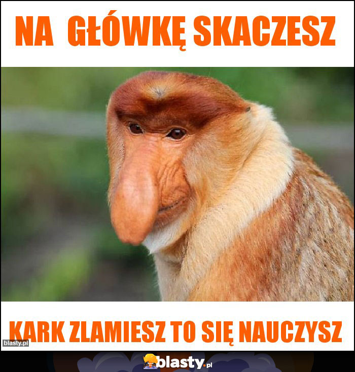 na główkę skaczesz na główkę skaczesz