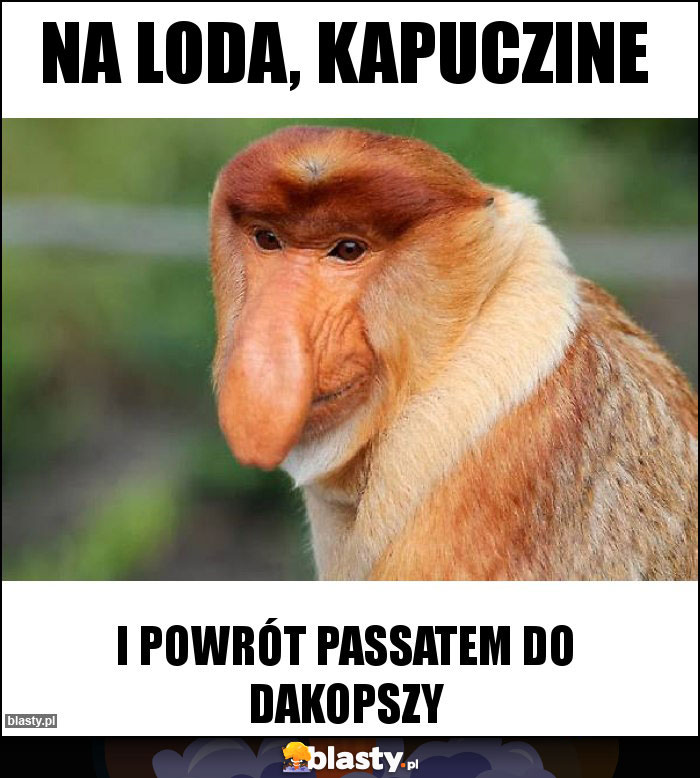 Na loda, kapuczine Na loda, kapuczine