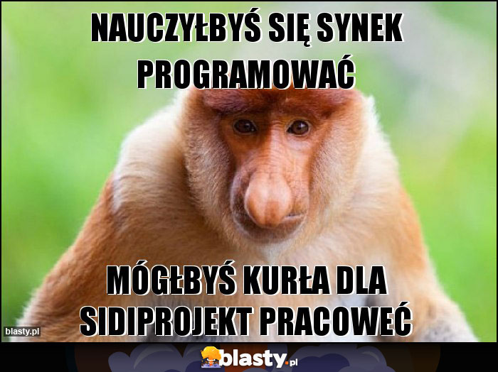 nauczyłbyś się synek programować nauczyłbyś się synek programować