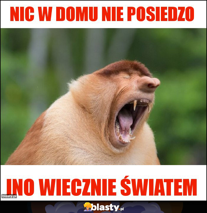 Nic w domu nie posiedzo Nic w domu nie posiedzo