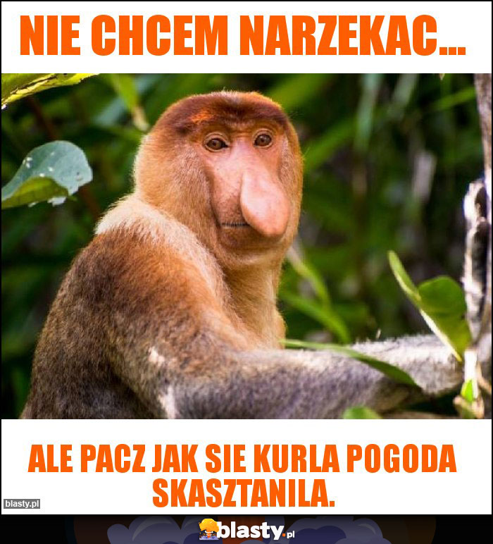 Nie chcem narzekac... Nie chcem narzekac...