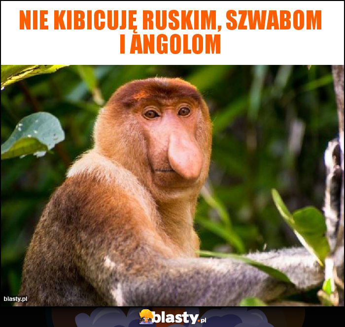 Nie kibicuję ruskim, szwabom I angolom