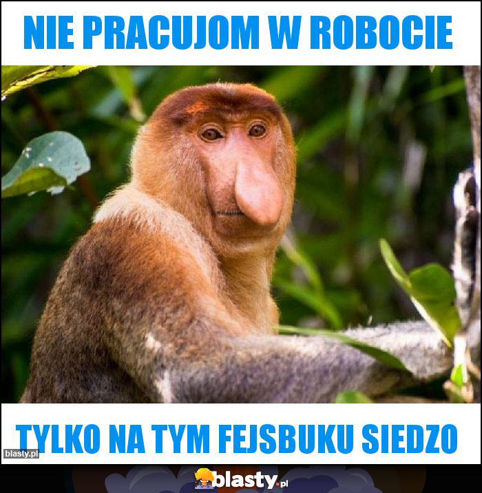 NIE PRACUJOM W ROBOCIE NIE PRACUJOM W ROBOCIE