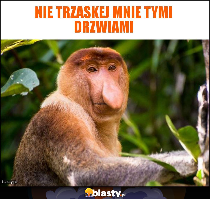 Nie trzaskej mnie tymi drzwiami Nie trzaskej mnie tymi drzwiami
