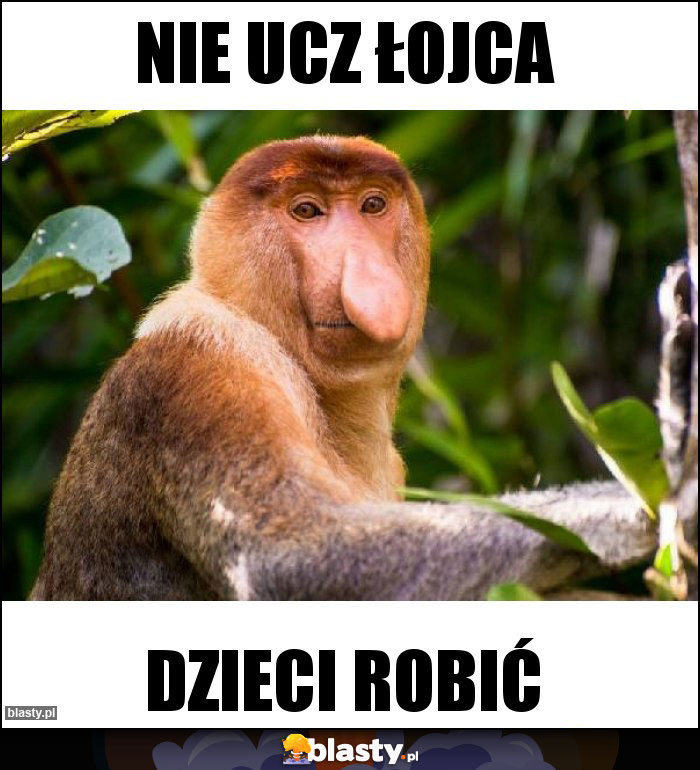 Nie ucz łojca Nie ucz łojca