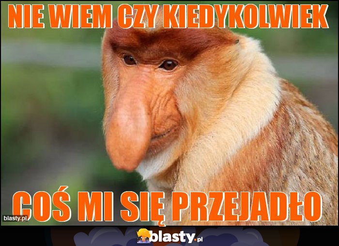 nie wiem czy kiedykolwiek nie wiem czy kiedykolwiek