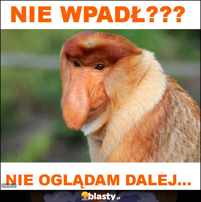 nie wpadł??? nie wpadł???