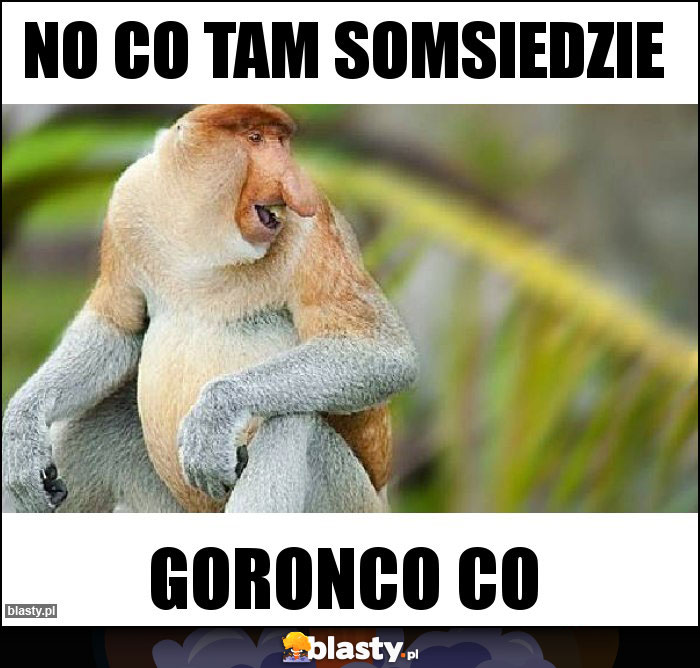 No co tam somsiedzie No co tam somsiedzie