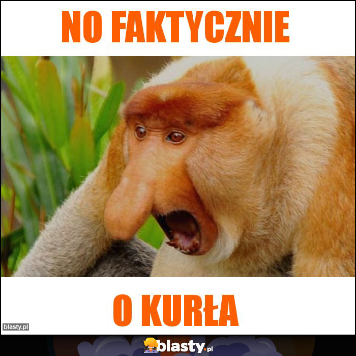 No faktycznie No faktycznie