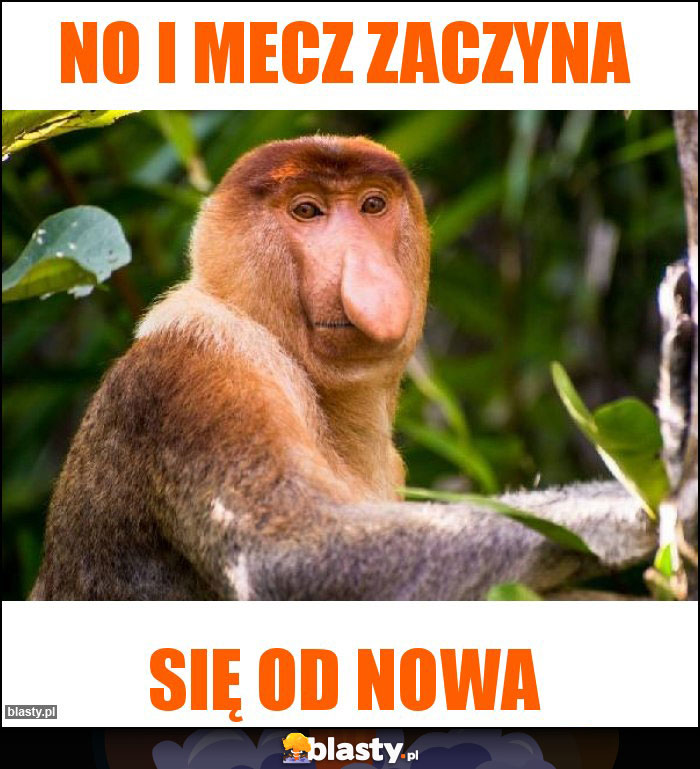 No i mecz zaczyna No i mecz zaczyna