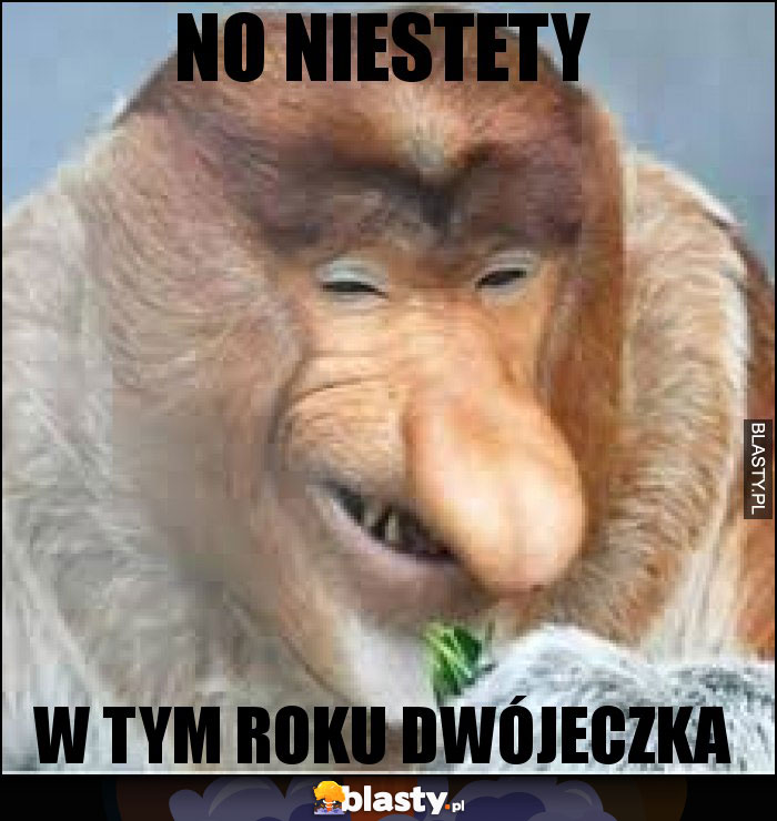 No niestety No niestety