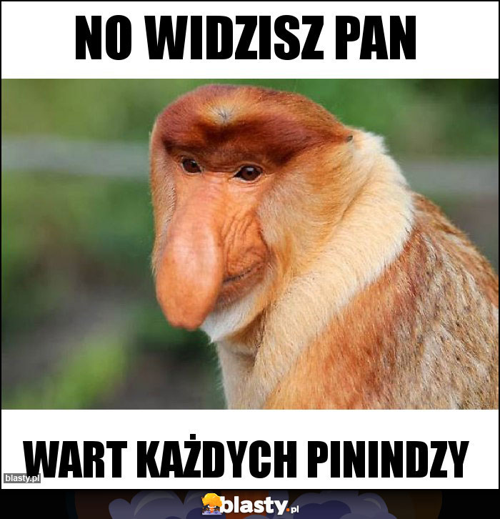 no widzisz Pan no widzisz Pan