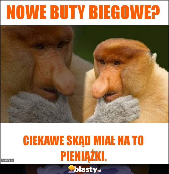 Nowe buty biegowe? Nowe buty biegowe?