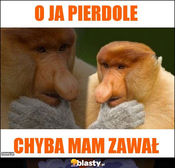 o ja pierdole o ja pierdole