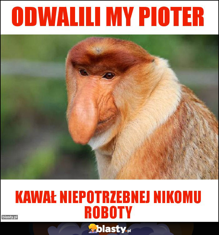 Odwalili my pioter Odwalili my pioter