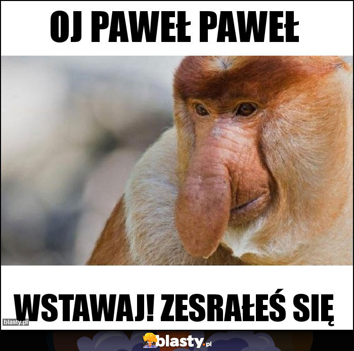 OJ PAWEŁ PAWEŁ OJ PAWEŁ PAWEŁ