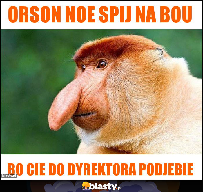 Orson noe spij na bou