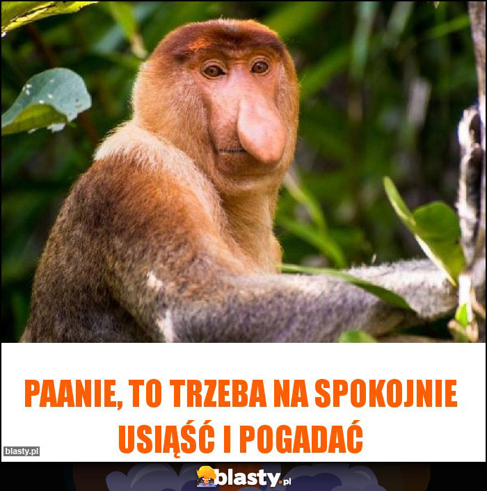 Paanie, to trzeba na spokojnie usiąść i pogadać Paanie, to trzeba na spokojnie usiąść i pogadać