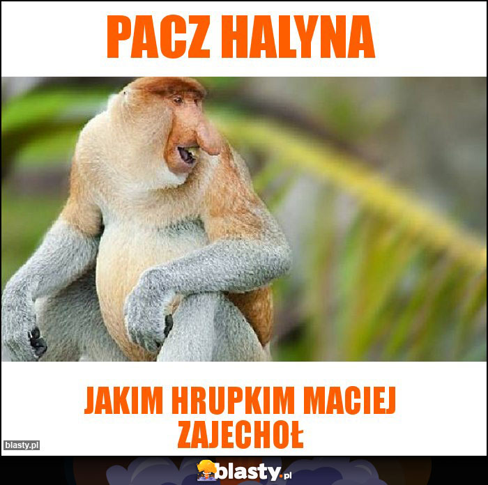 Pacz Halyna Pacz Halyna