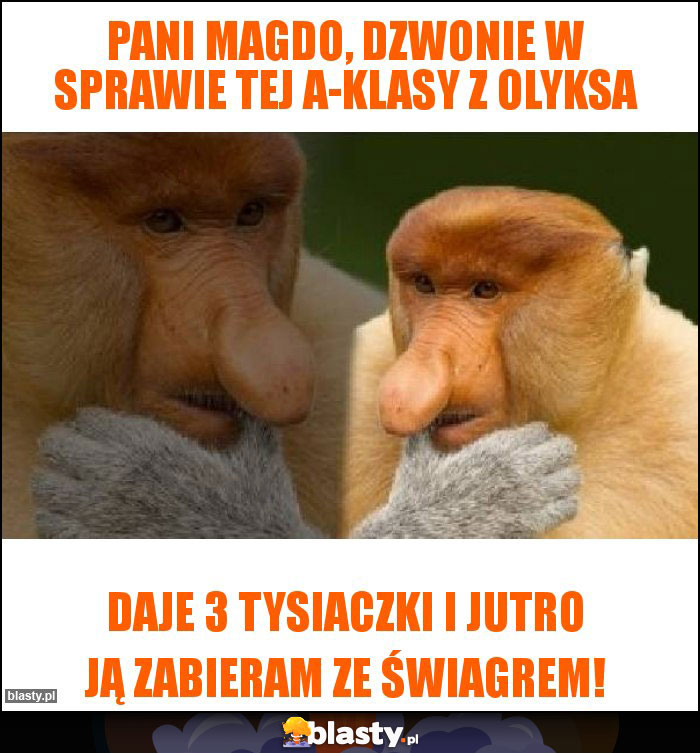 Pani Magdo, dzwonie w sprawie tej A-klasy z Olyksa Pani Magdo, dzwonie w sprawie tej A-klasy z Olyksa