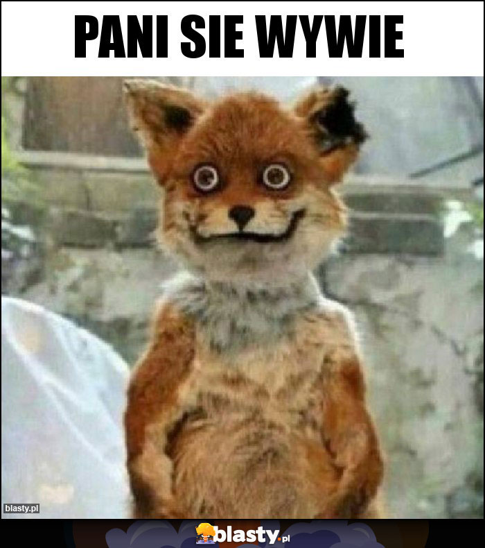 Pani sie wywie