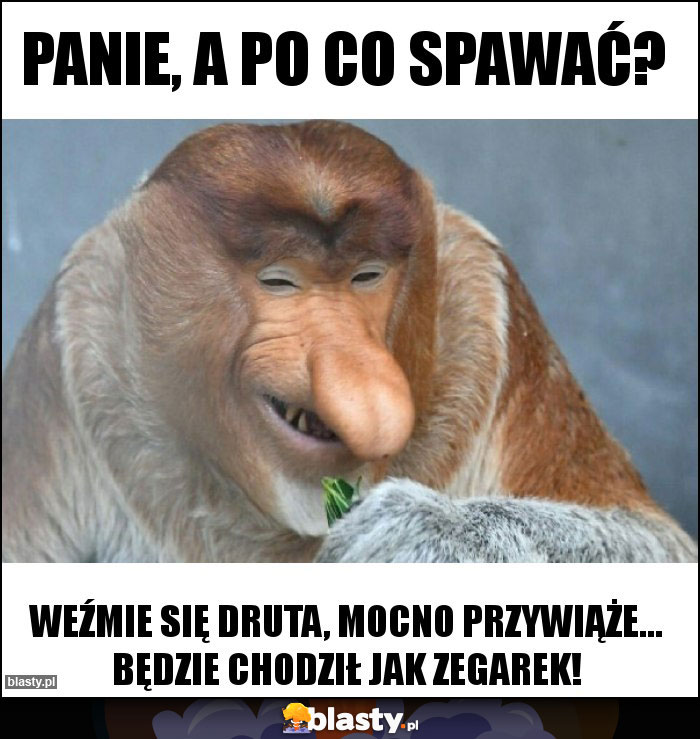 Panie, a po co spawać? Panie, a po co spawać?