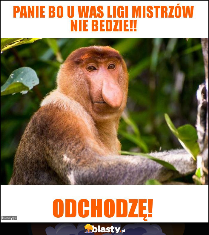 Panie bo u was Ligi Mistrzów nie bedzie!! Panie bo u was Ligi Mistrzów nie bedzie!!