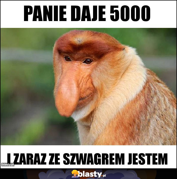 Panie daje 5000 Panie daje 5000