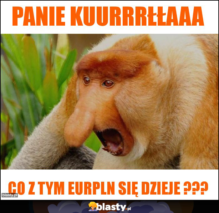 Panie Kuurrrłłaaa Panie Kuurrrłłaaa