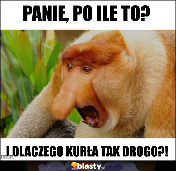 Panie, po ile to? Panie, po ile to?