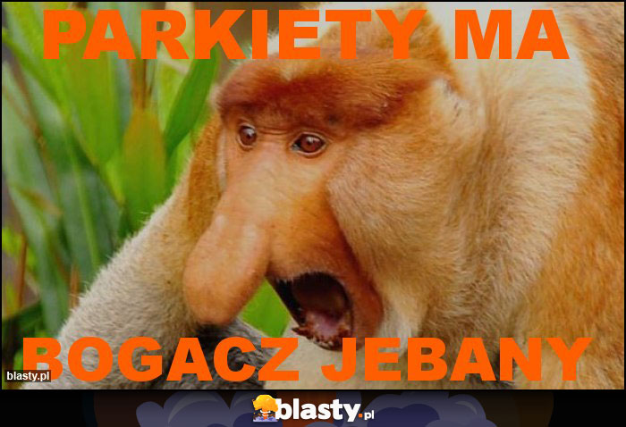 parkiety ma parkiety ma