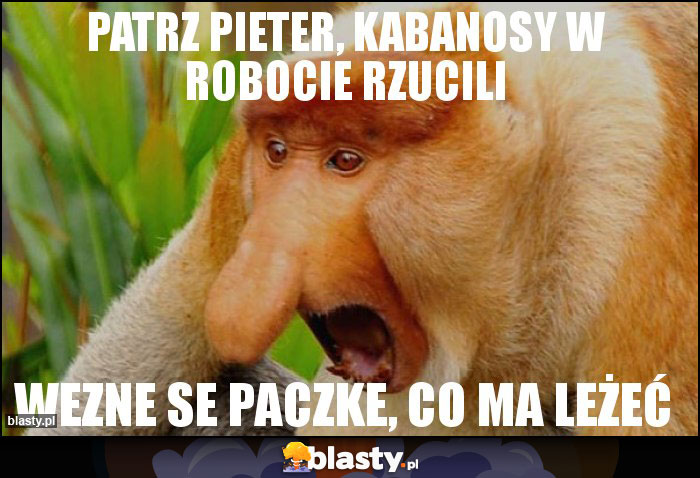 Patrz Pieter, Kabanosy w robocie rzucili Patrz Pieter, Kabanosy w robocie rzucili