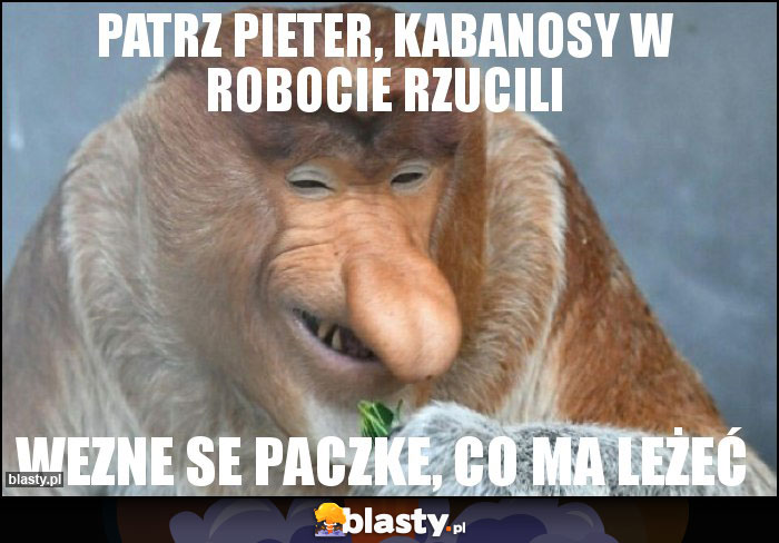 Patrz Pieter, Kabanosy w robocie rzucili Patrz Pieter, Kabanosy w robocie rzucili