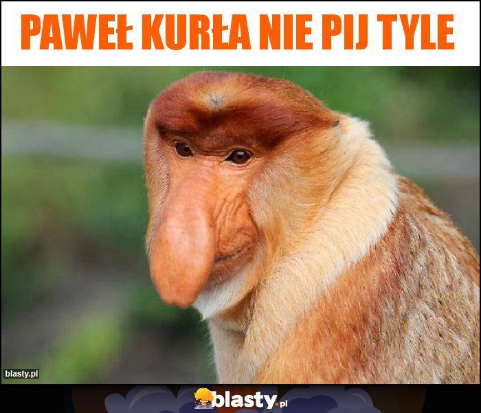 Paweł kurła nie pij tyle Paweł kurła nie pij tyle