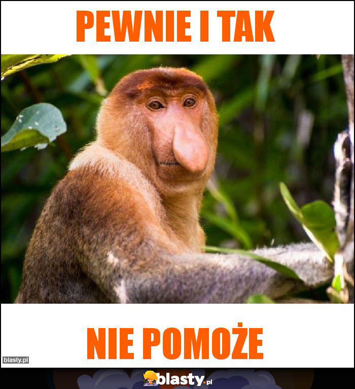 Pewnie i tak Pewnie i tak