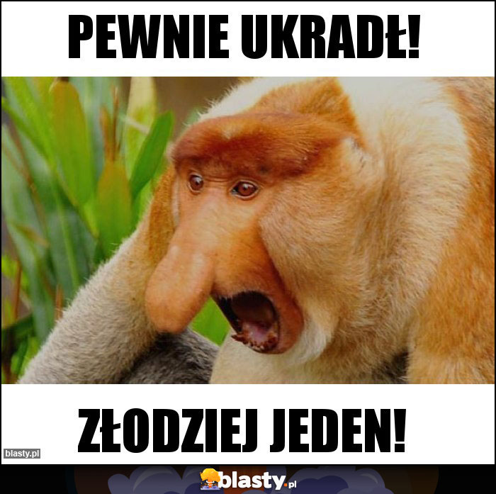 Pewnie ukradł! Pewnie ukradł!